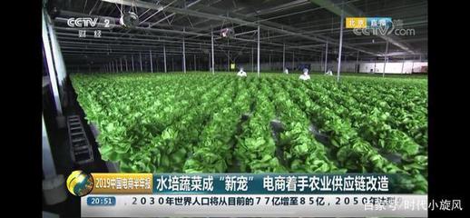 央視點(diǎn)贊 產(chǎn)銷(xiāo)一體化新模式，京東植物工廠為農(nóng)業(yè)發(fā)展提供新思路